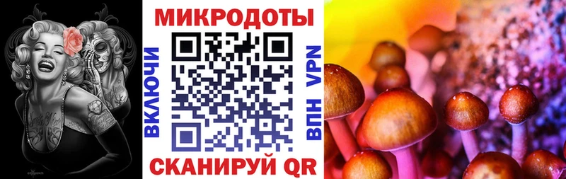 блэк спрут как войти  Каменск-Шахтинский  Галлюциногенные грибы MAGIC MUSHROOMS 